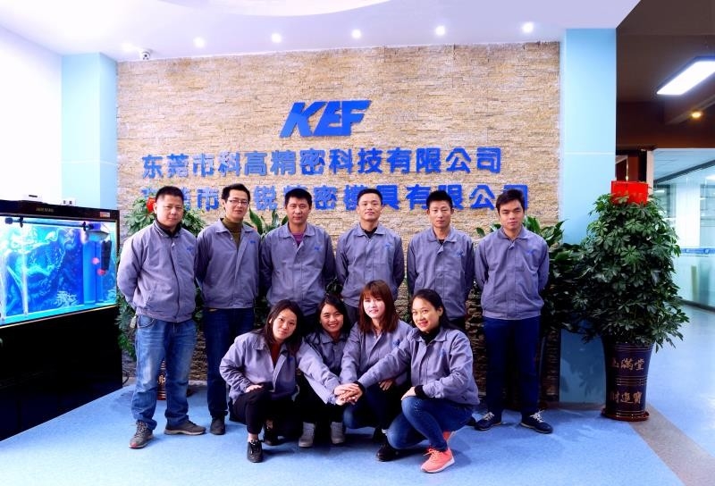 中国 Dongguan Kegao Precision Technology Co., Ltd. 会社概要
